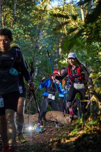 BIB: 3357
                            <button type="button" onclick="openModal(19244434)" class="btn btn-primary btn-sm float-right btn-popup" data-toggle="modal" data-target=".modal-high-quality">
                        <i class="fas fa-shopping-cart"></i> Add to Cart
                    </button>
                                            <button type="button" onclick="isThisMe(19244434, true)" class="btn btn-success btn-sm float-right btn-popup btn-isme hidden" data-toggle="tooltip" data-placement="bottom" title="นี่คือรูปของคุณใช่ไหม คลิกที่นี่เพื่อเอาเข้าอัลบั้ม">
                        <i class="fas fa-plus"></i> Add to album
                    </button>
                    <button type="button" onclick="isThisMe(19244434, false)" class="btn btn-warning btn-sm float-right btn-popup btn-isnotme hidden">
                        <i class="fas fa-ban"></i> Remove from album
                    </button>